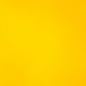 Meet your Posher, Rose